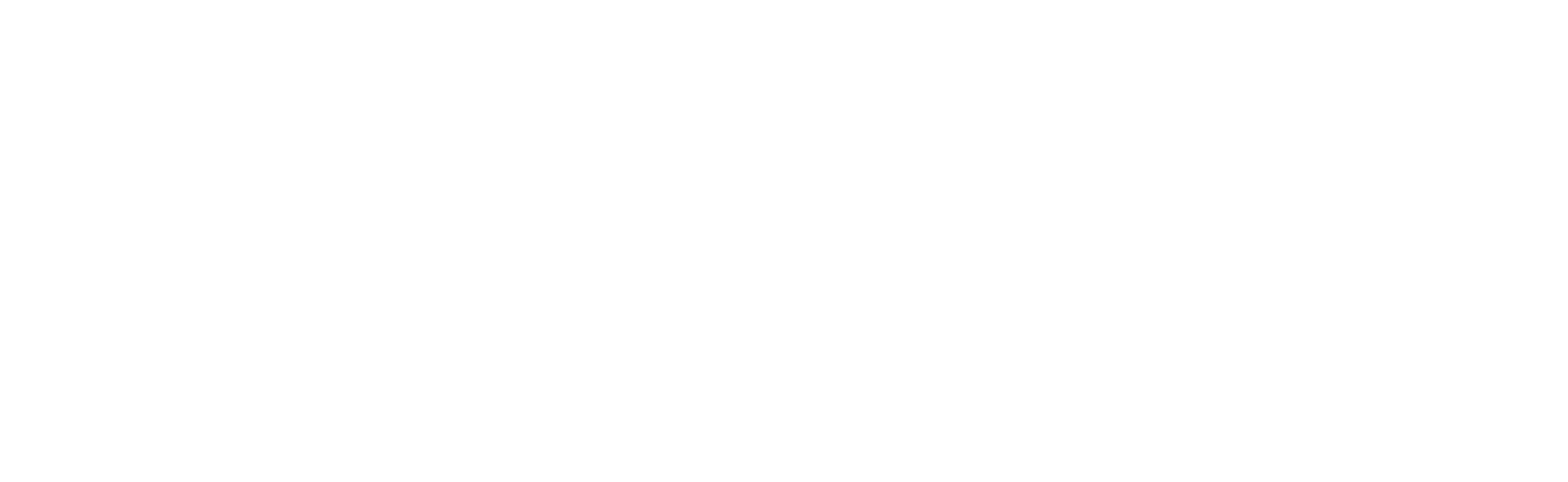 premier league